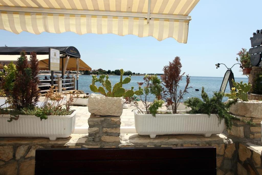 Sea View Apartment Umag 2 外观 照片